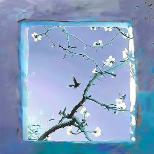 黑鸡巴性交美女
